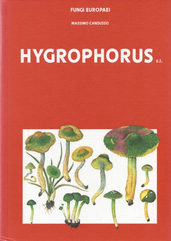 Hygrophorus