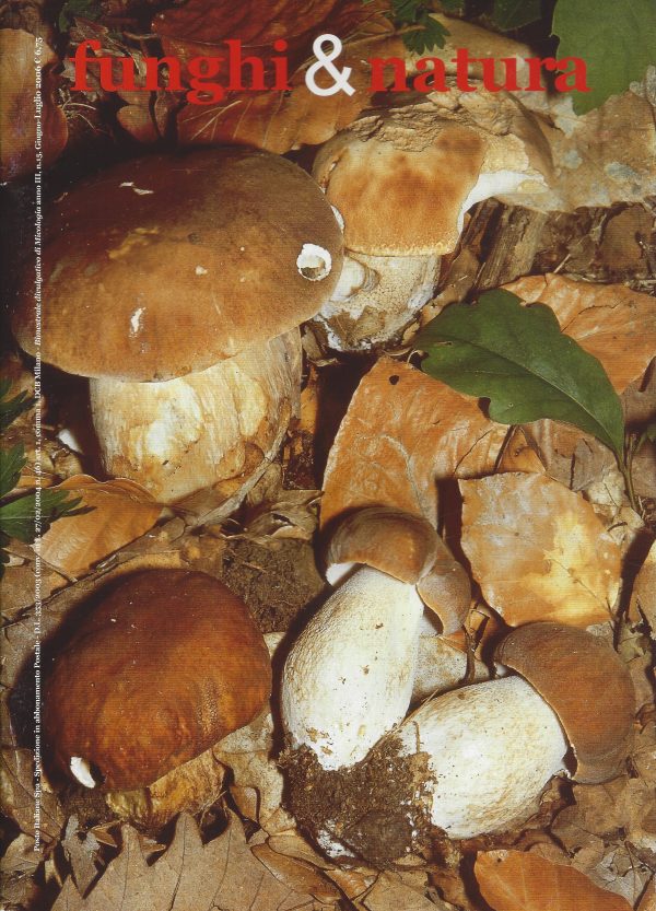 Funghi e natura 15