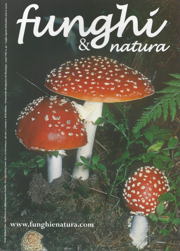 Funghi e natura 40