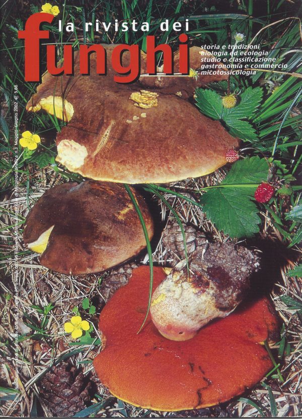 La rivista dei Funghi 03