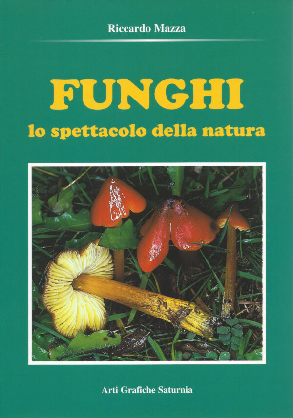 Funghi_lo_spetacolo_della_natura